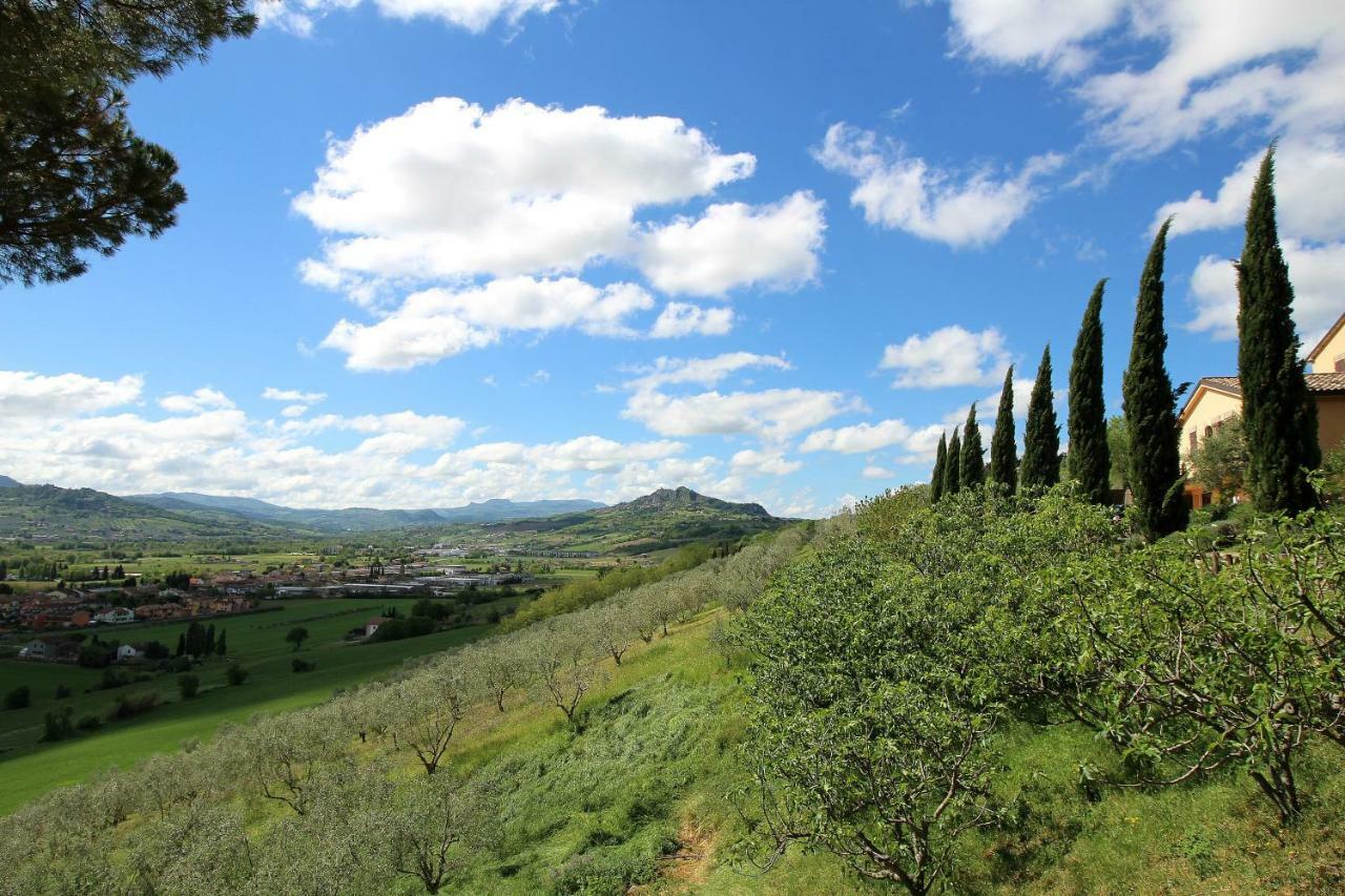Il Poggianino Bed & Breakfast Poggio Berni Exterior photo